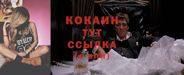 шишки Белоозёрский