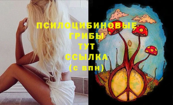 МДПВ Горняк