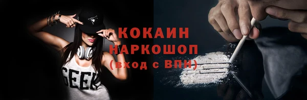 шишки Белоозёрский