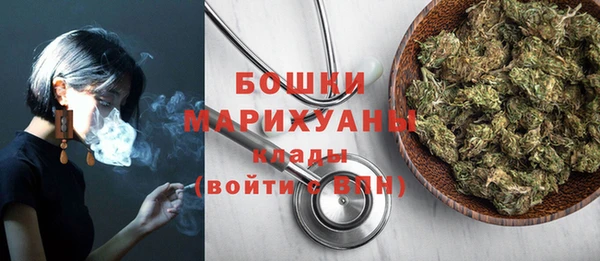 шишки Белоозёрский