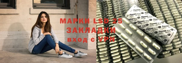 шишки Белоозёрский
