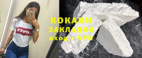 шишки Белоозёрский