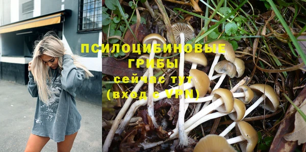 шишки Белоозёрский