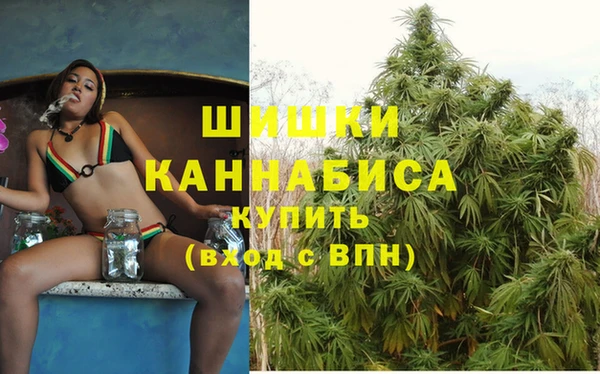 шишки Белоозёрский