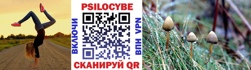 цены наркотик  Дальнегорск  Галлюциногенные грибы Cubensis 