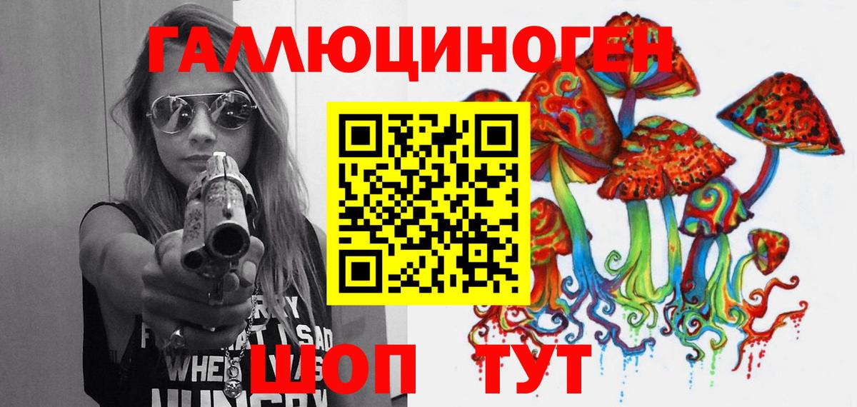 Псилоцибиновые грибы прущие грибы Дальнегорск