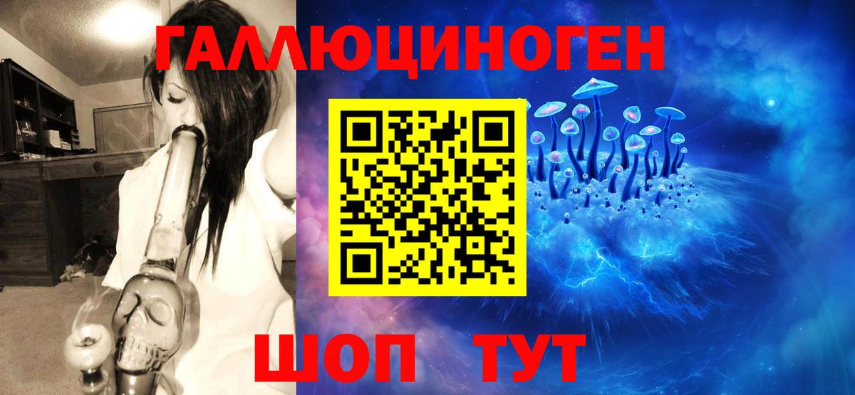 Дальнегорск  даркнет сайт  Вход с VPN  Галлюциногенные грибы Magic Shrooms 